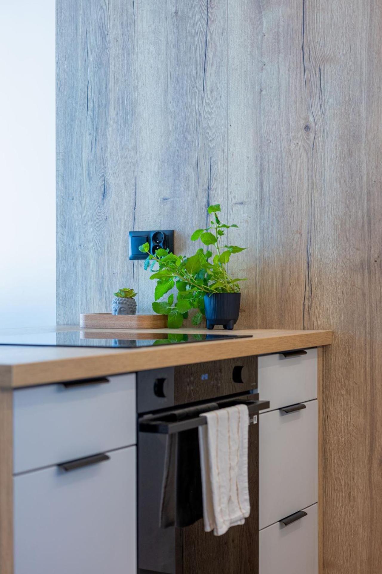 Vip Apartament Kopisto Centrum Rzeszow Ngoại thất bức ảnh